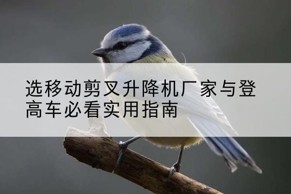 永福电动升降机厂家-选移动剪叉升降机厂家与登高车必看实用指南