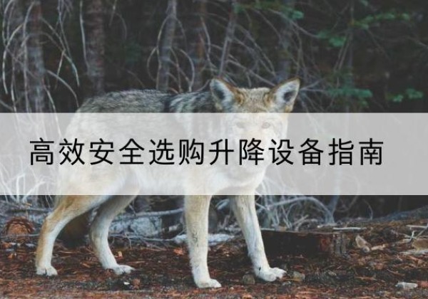 永福升降货梯厂家推荐-*安全选购升降设备指南