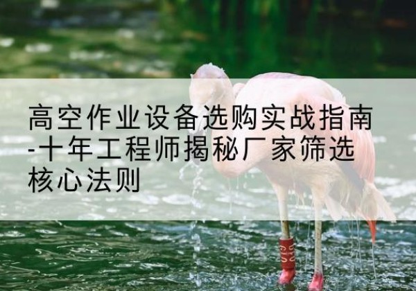 永福剪叉式升降机厂家-高空作业设备选购实战指南-十年工程师揭秘厂家筛选核心法则